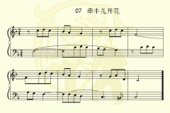 牵牛花儿开