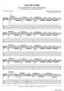tommy emmanuel saltwater(1)（指弹吉它）