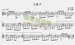 小燕子 吉他独奏谱（五线谱）