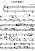 （德）勃拉姆斯：匈牙利舞曲第五号