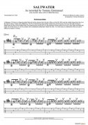 tommy emmanuel saltwater（指弹吉它）