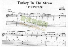 Turkey In The Straw－稻草中的火鸡
