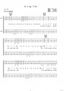 It s my life（电吉他 双吉他版）