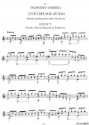 他雷加12首练习曲之7