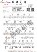《修炼爱情》超原版中级版（酷音小伟编谱）