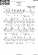 浪子心声 （ G调原版编配）