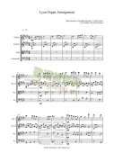 Lyon Organ Arrangement