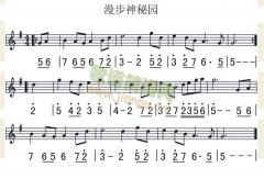 漫步神秘园
