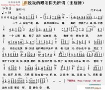 别说我的眼泪无所谓