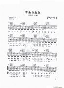 木鱼与金鱼