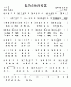 我的吉他两根弦（董文华独唱系列4