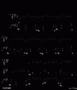 05895464版.龙卷风-周杰伦