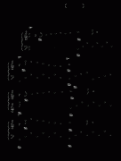 相思河畔-钢琴谱(钢琴曲)-陈百强