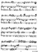 第二二胡狂想曲（二胡+钢琴伴奏）P2