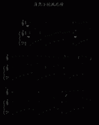 月光下的凤尾竹