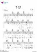 程艾影 （ C调指法编配）