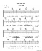 我想我不够好 （ D调原版编配）