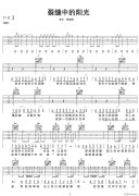 裂缝中的阳光 （ C调原版）