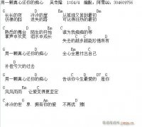 用一颗真心还你的痴心