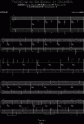 卡农-（情感100%）